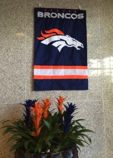 Broncos Display